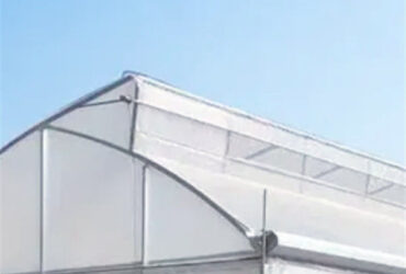 Customization Commercial Gothic Type Greenhouse With Electric Systems
