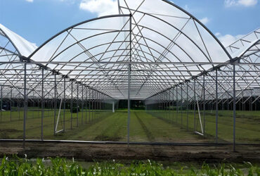 Customization Commercial Gothic Type Greenhouse With Electric Systems