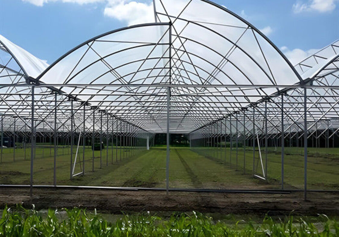 Customization Commercial Gothic Type Greenhouse With Electric Systems