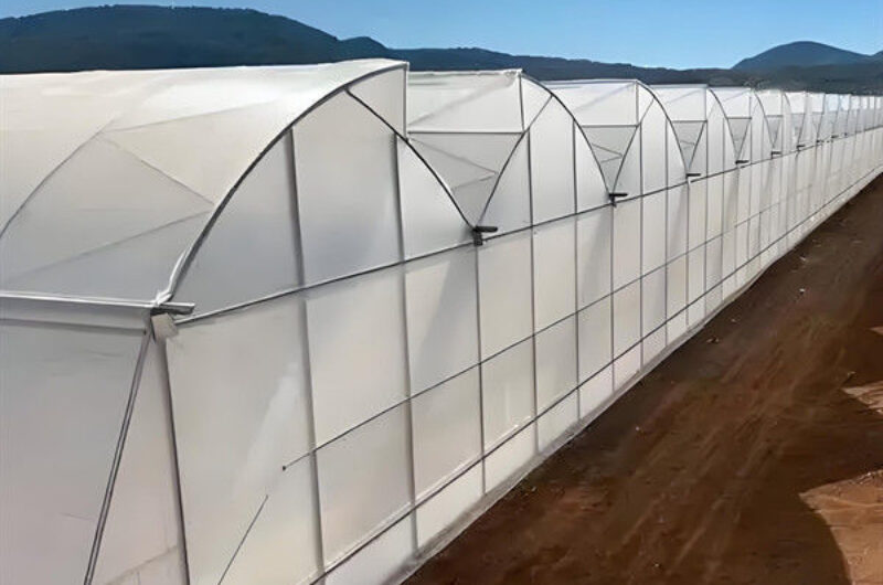 Customization Commercial Gothic Type Greenhouse With Electric Systems