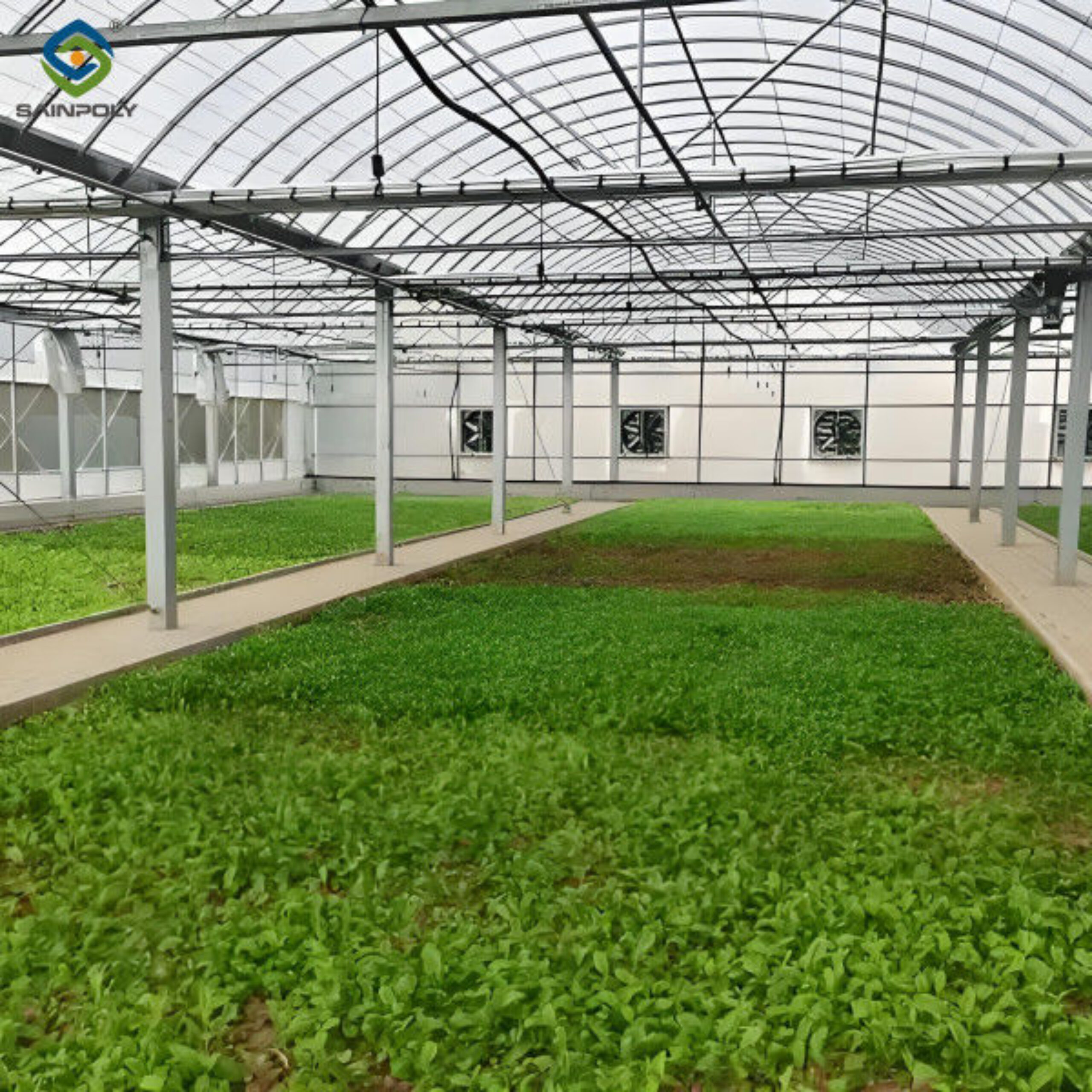 Customization Commercial Plastic Film Greenhouse For Lettuce Planting