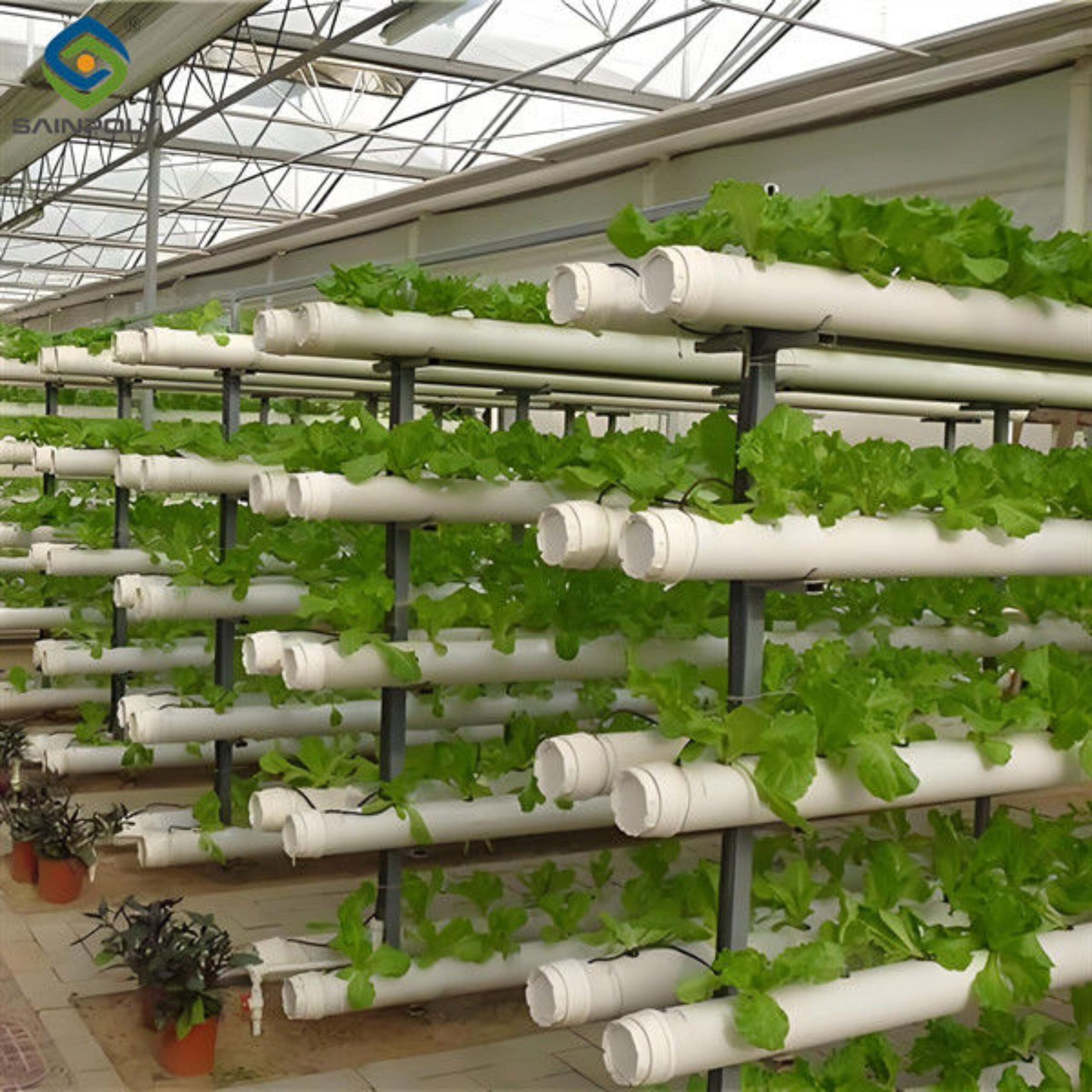 Customization Hydroponic System Greenhouse With Rolling Benches