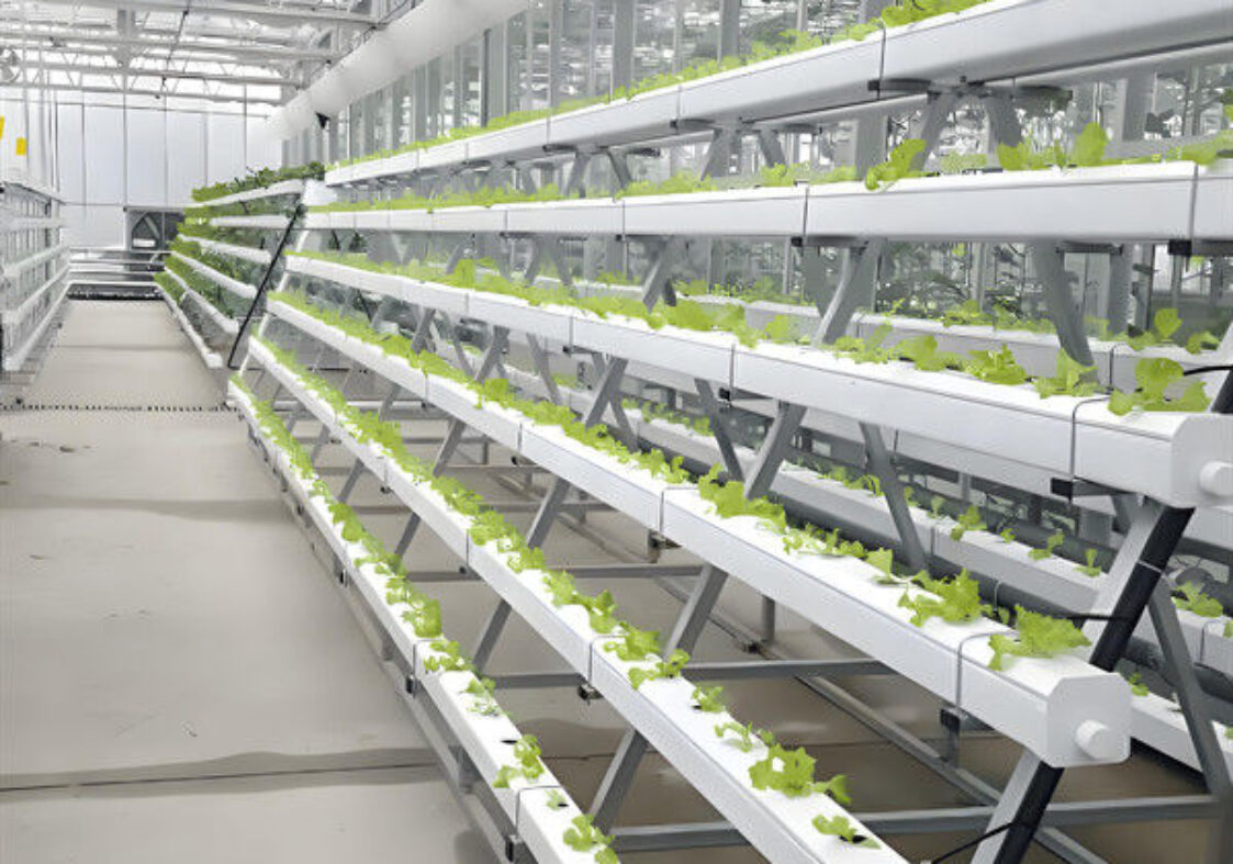 Customization Hydroponic System Greenhouse With Rolling Benches