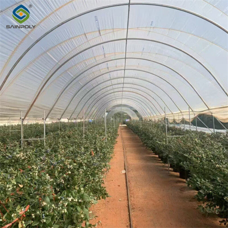 Customization Multi Span Greenhouse Agriculture Green House For Berry