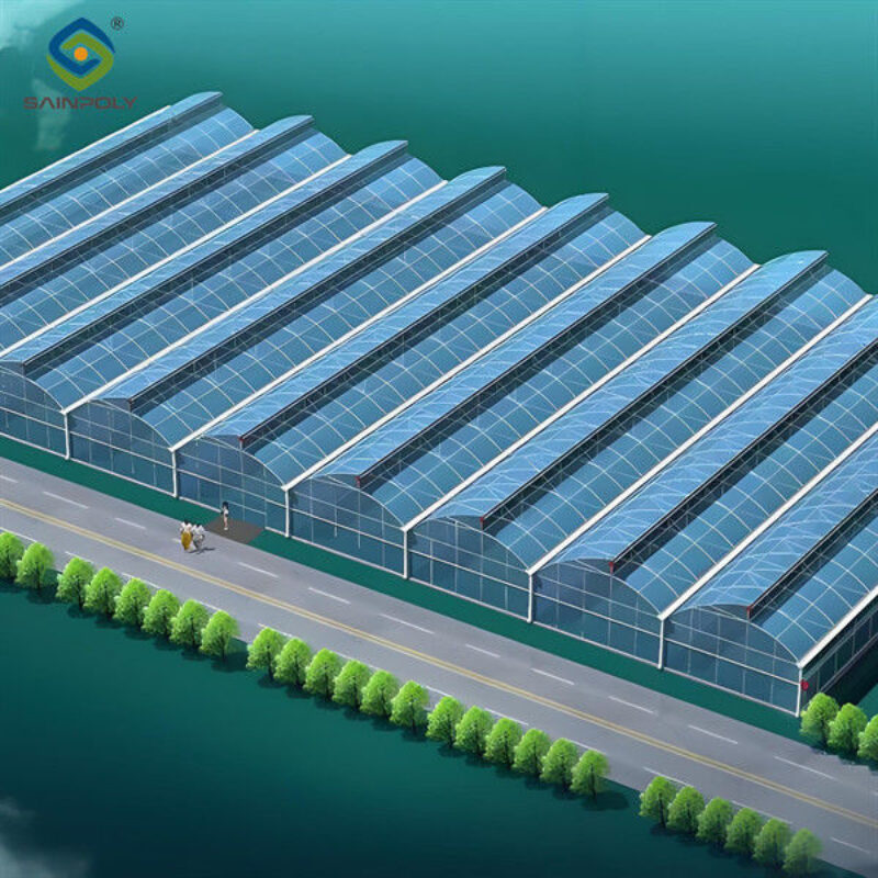 Customization Span Large Commercial Greenhouse With Single PE Layer Frame 4m Height