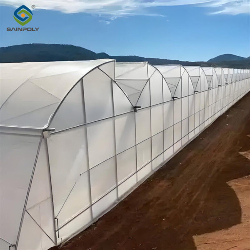 Customization Span Large Commercial Greenhouse With Single PE Layer Frame 4m Height