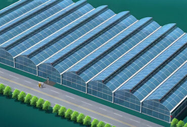 Customization Span Large Commercial Greenhouse With Single PE Layer Frame 4m Height