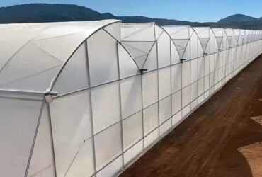 Customization Span Large Commercial Greenhouse With Single PE Layer Frame 4m Height