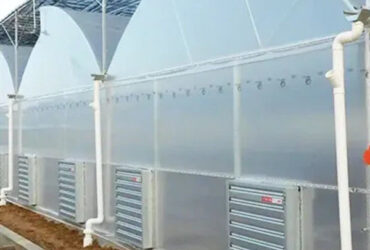 Customization Span Large Commercial Greenhouse With Single PE Layer Frame 4m Height