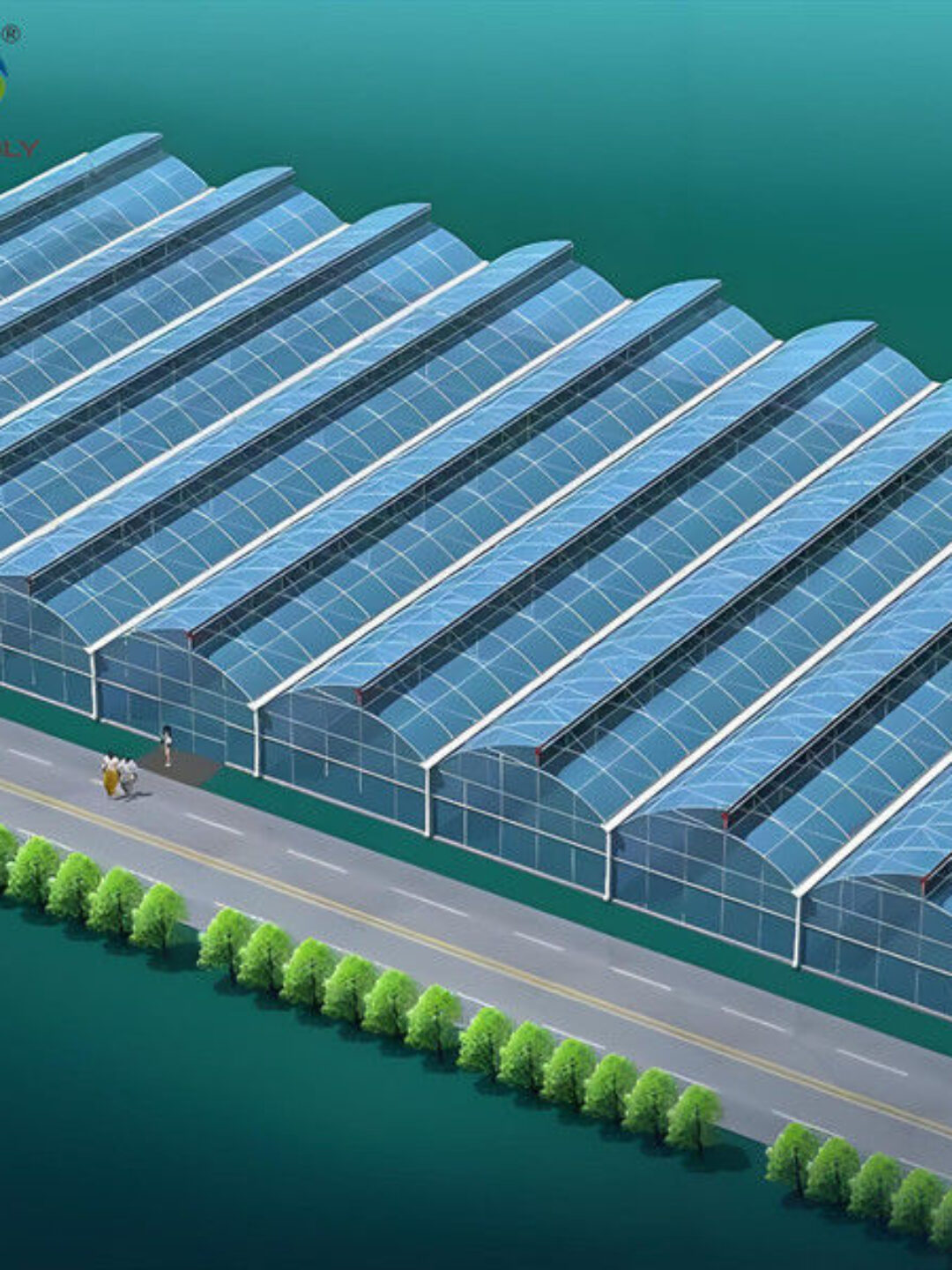 Customization Span Large Commercial Greenhouse With Single PE Layer Frame 4m Height