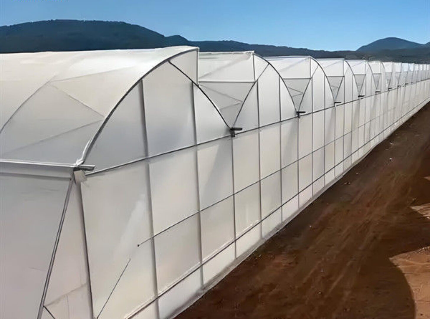 Customization Span Large Commercial Greenhouse With Single PE Layer Frame 4m Height