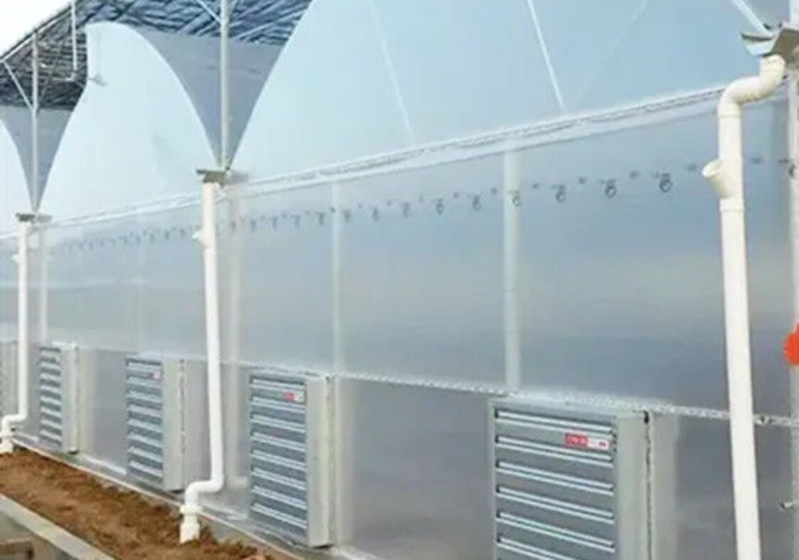 Customization Span Large Commercial Greenhouse With Single PE Layer Frame 4m Height