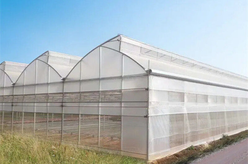 Customization Span Large Commercial Greenhouse With Single PE Layer Frame 4m Height