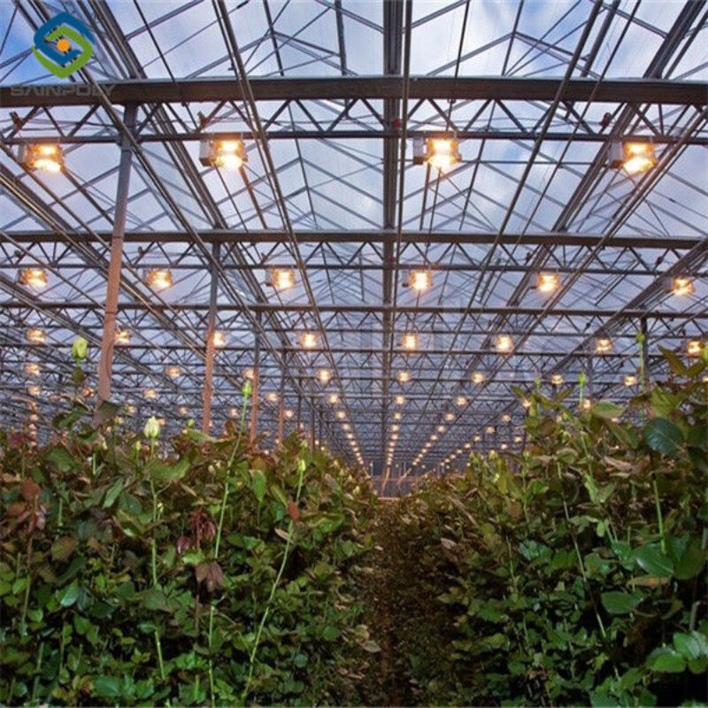 Customized Agriculture Green House Tomatoes Greenhouse With High Yield