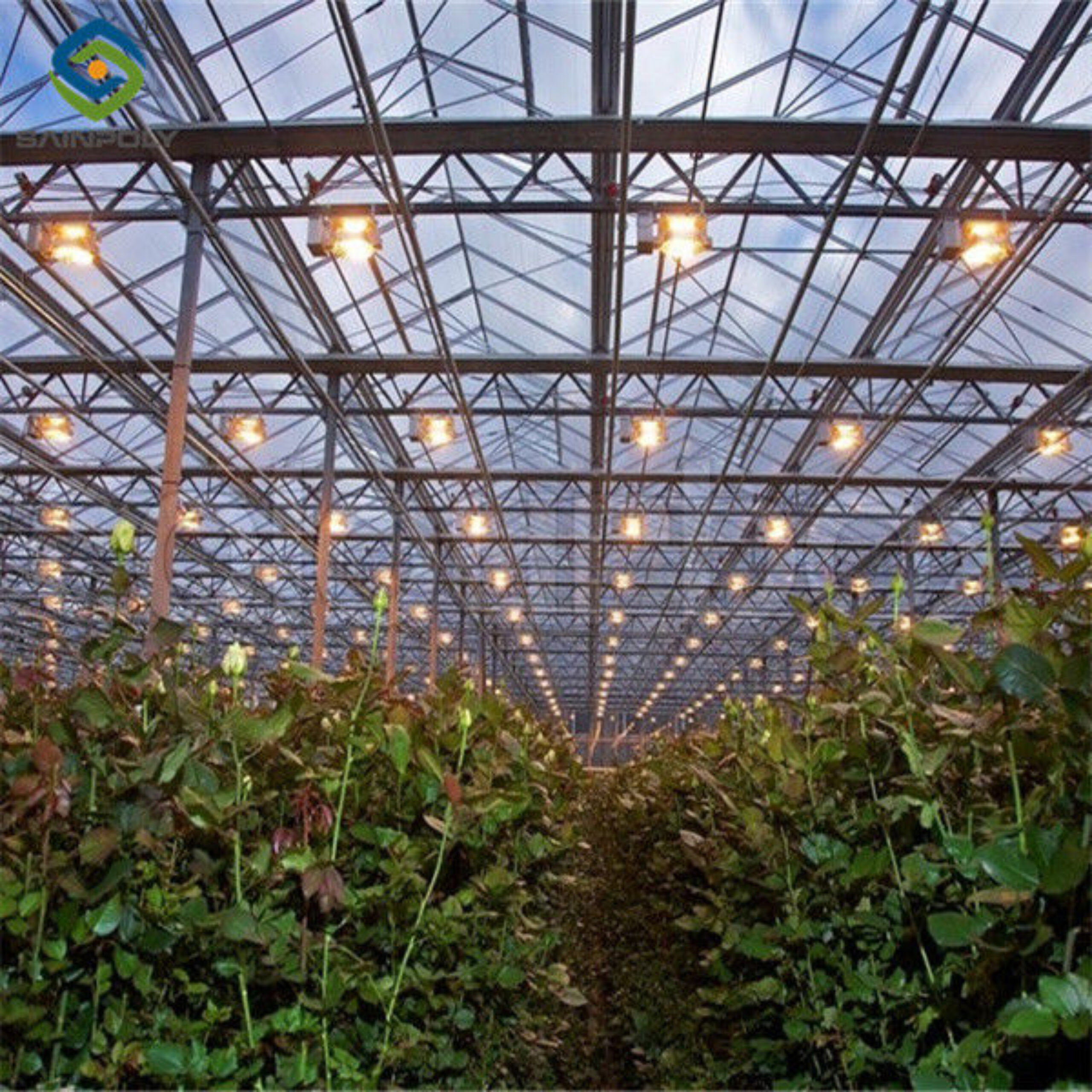 Customized Agriculture Green House Tomatoes Greenhouse With High Yield