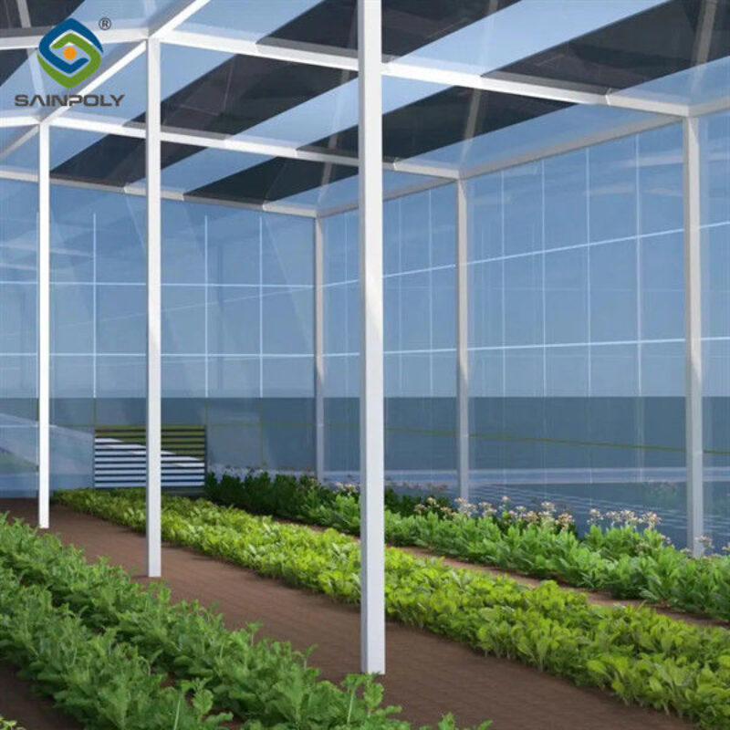 Customized Agriculture Solar Glass Greenhouse Double Glass Greenhouse
