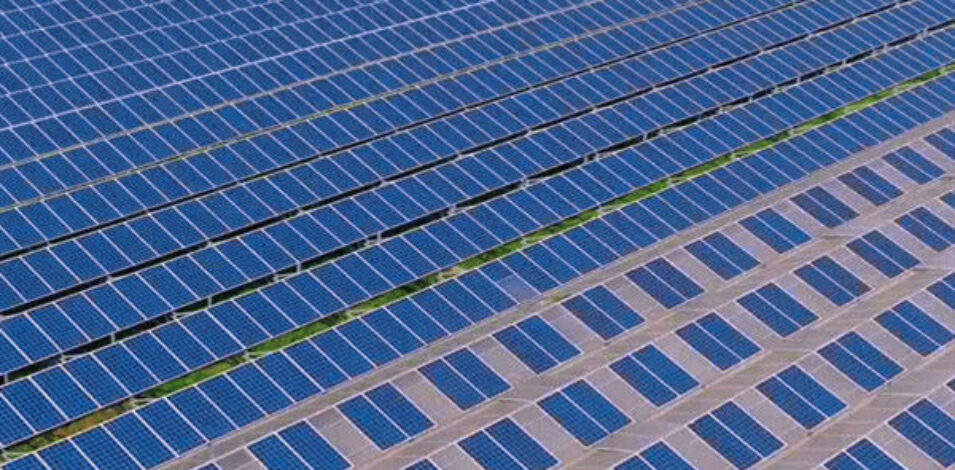 Customized Agriculture Solar Glass Greenhouse Double Glass Greenhouse