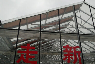 Customized Agriculture Solar Glass Greenhouse Double Glass Greenhouse