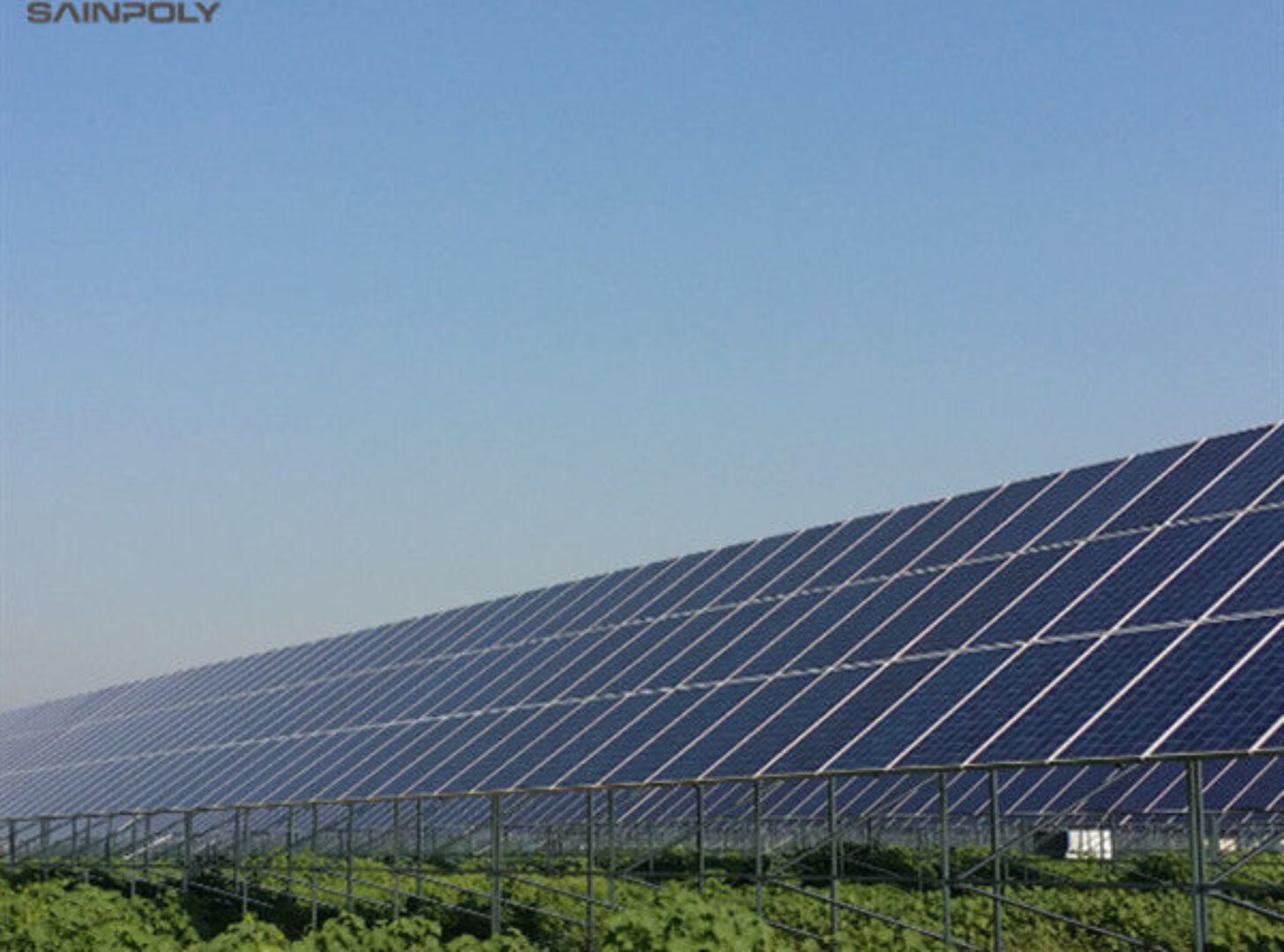 Customized Agriculture Solar Glass Greenhouse Double Glass Greenhouse