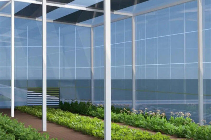 Customized Agriculture Solar Glass Greenhouse Double Glass Greenhouse