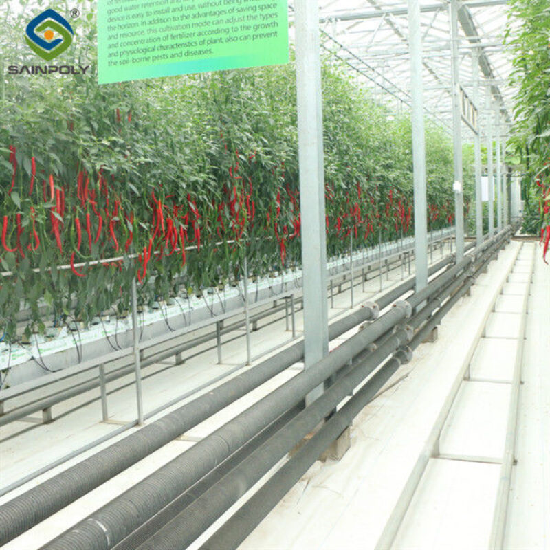 Customized Commercial Tomato Greenhouse Multi Span Greenhouse Plants Growing