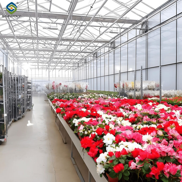 Customized Flower Green House Easy Assembly Plant Greenhouses