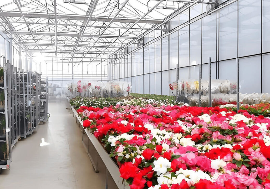 Customized Flower Green House Easy Assembly Plant Greenhouses