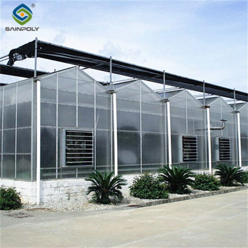Customized Size Intelligent Greenhouse Vegetable Growing Greenhouse