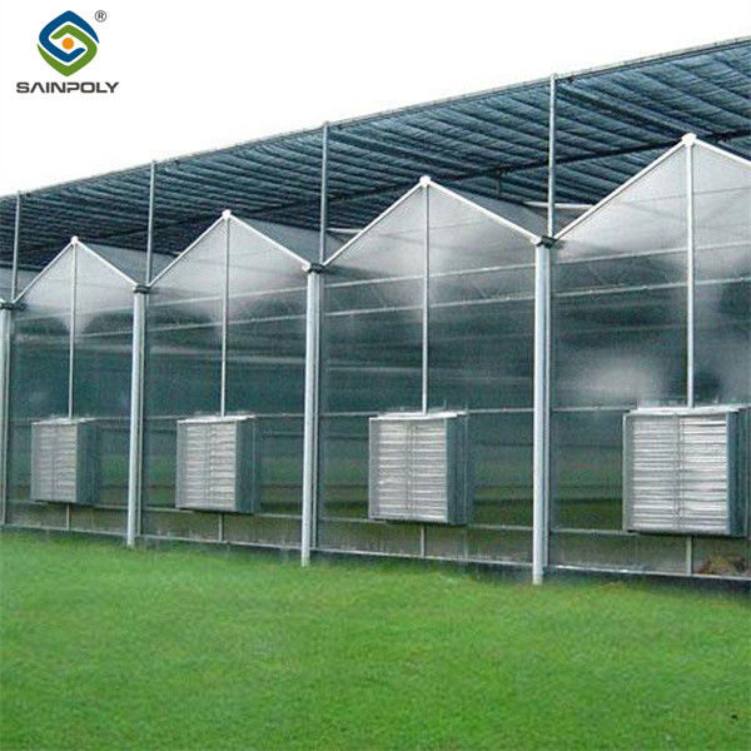 Customized Size Intelligent Greenhouse Vegetable Growing Greenhouse