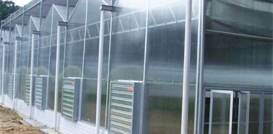 Customized Size Intelligent Greenhouse Vegetable Growing Greenhouse