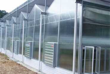 Customized Size Intelligent Greenhouse Vegetable Growing Greenhouse