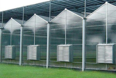 Customized Size Intelligent Greenhouse Vegetable Growing Greenhouse