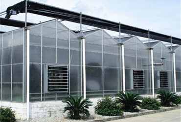 Customized Size Intelligent Greenhouse Vegetable Growing Greenhouse