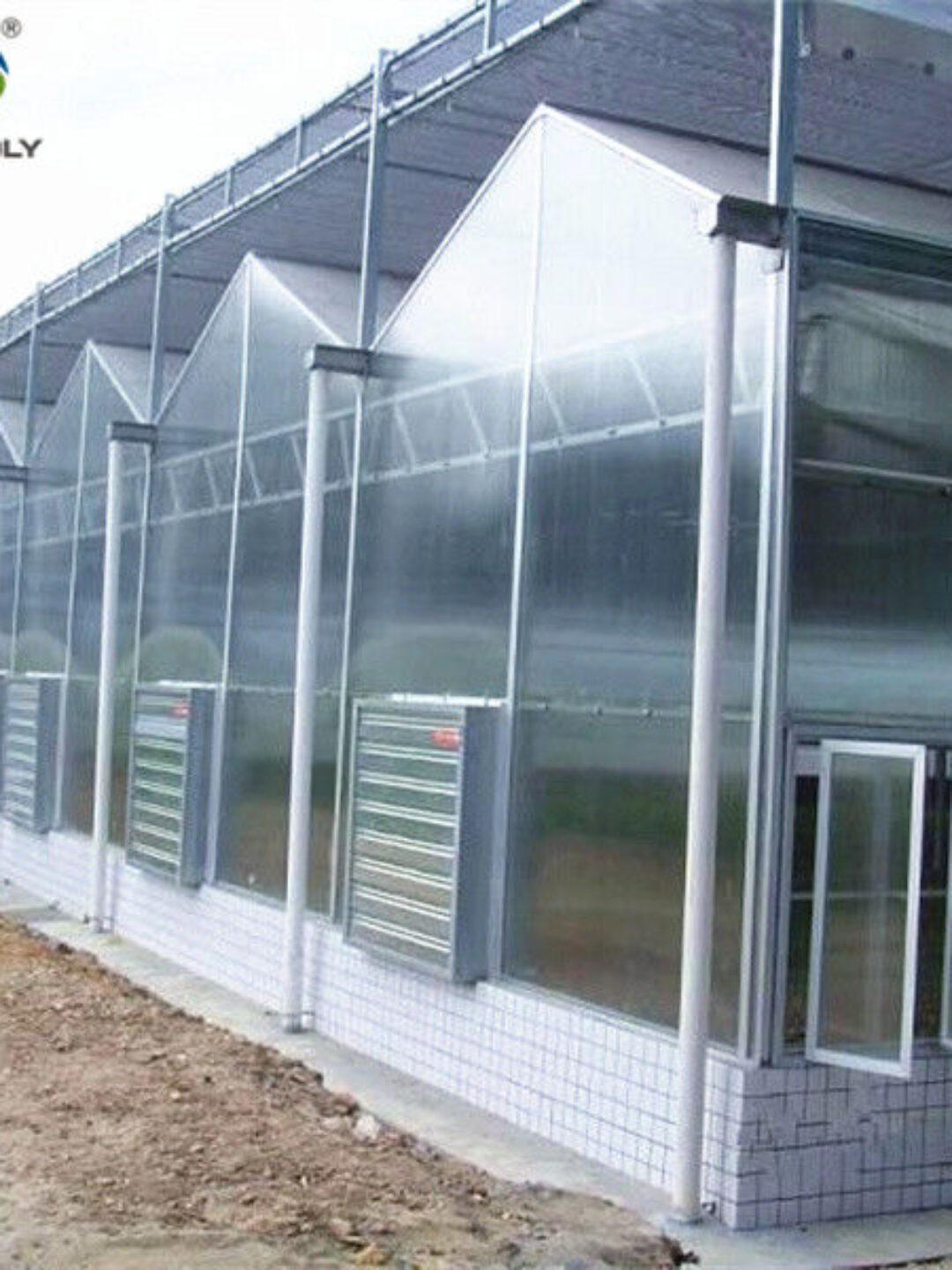 Customized Size Intelligent Greenhouse Vegetable Growing Greenhouse