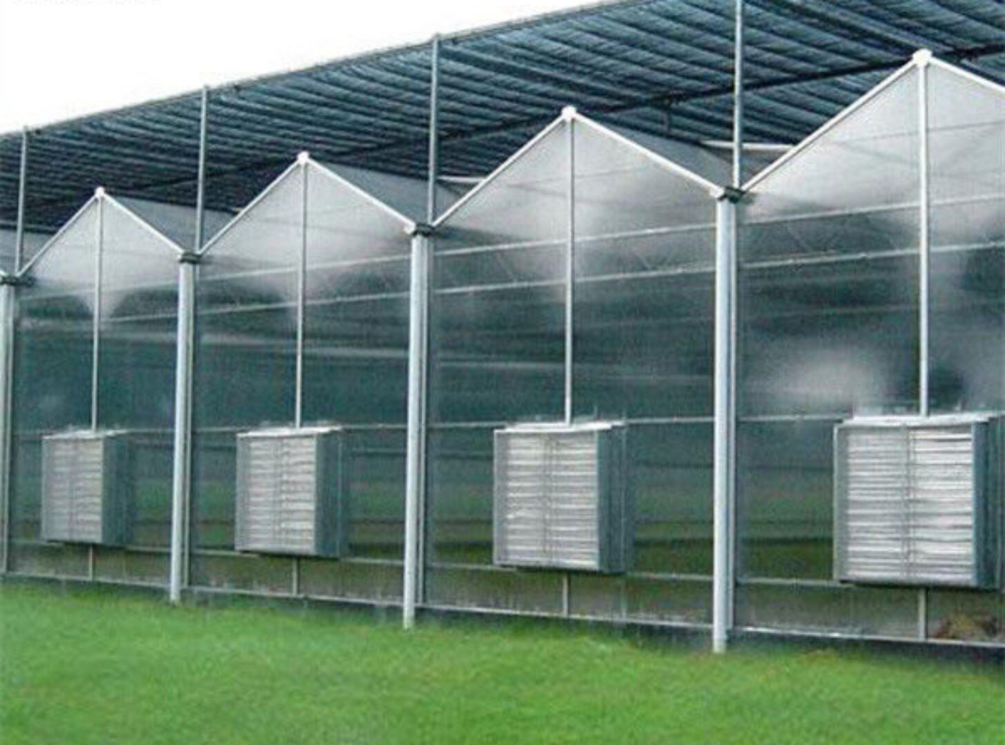 Customized Size Intelligent Greenhouse Vegetable Growing Greenhouse