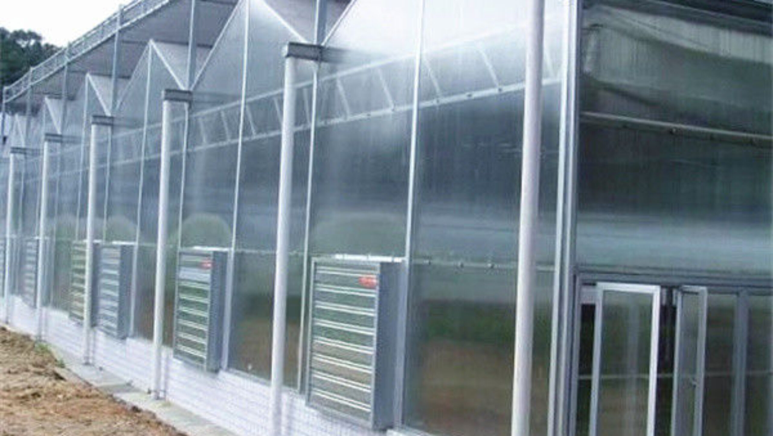 Customized Size Intelligent Greenhouse Vegetable Growing Greenhouse