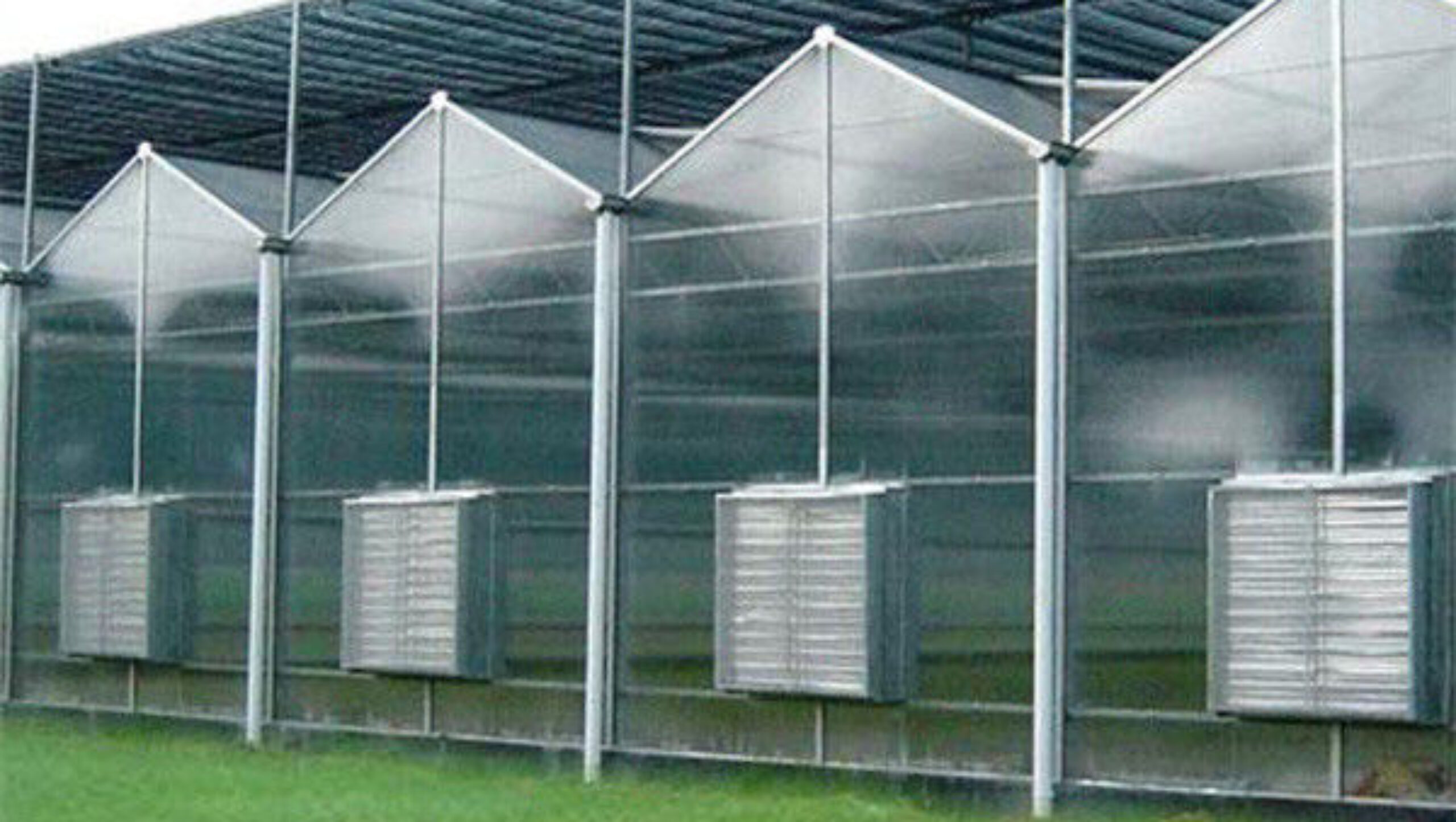 Customized Size Intelligent Greenhouse Vegetable Growing Greenhouse