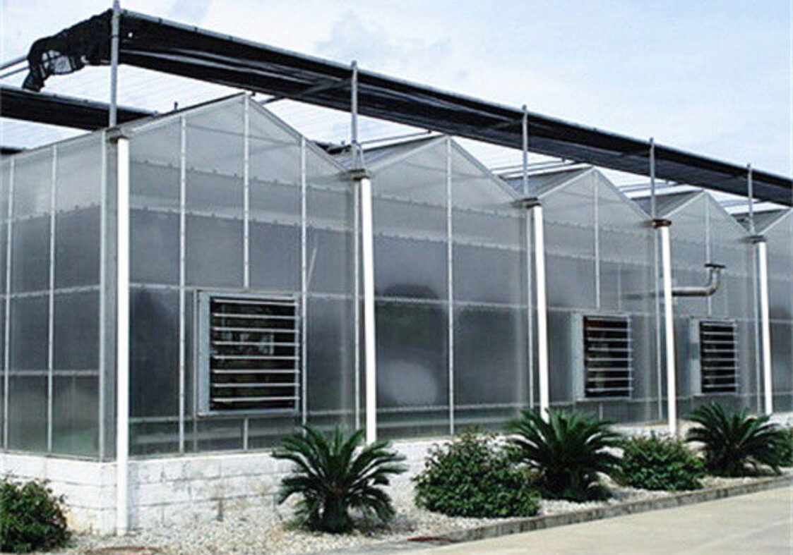 Customized Size Intelligent Greenhouse Vegetable Growing Greenhouse