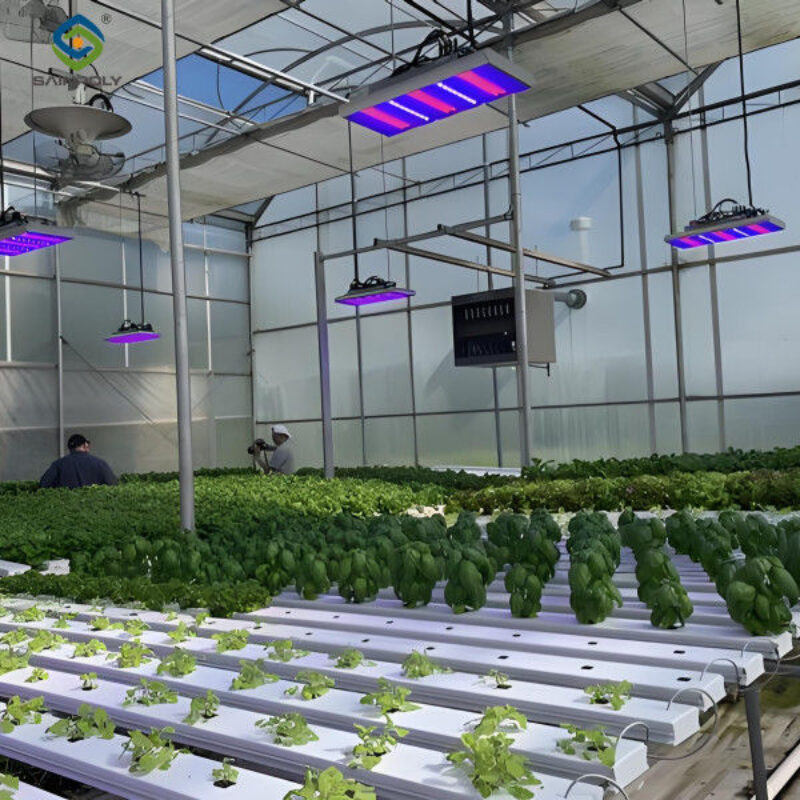 Customized Size Lettuce Green House Easy Installation With Sliding / Swing Door