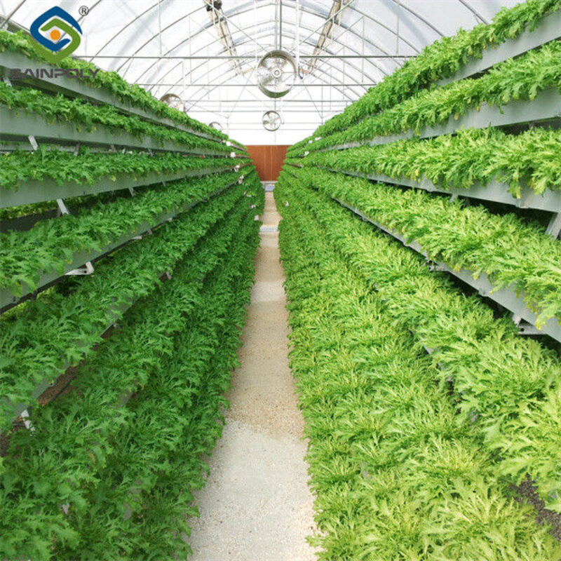 Customized Size Lettuce Green House Easy Installation With Sliding / Swing Door