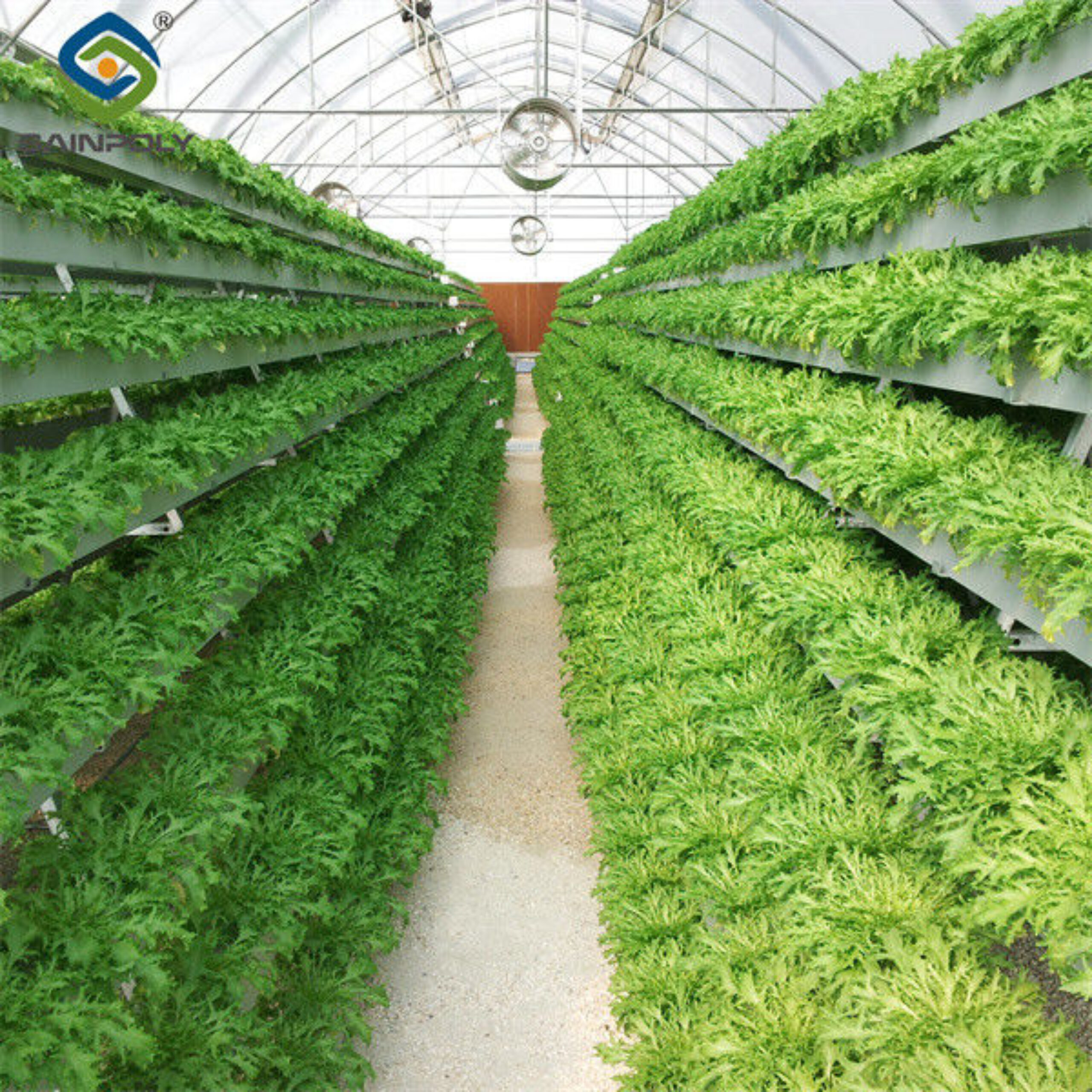 Customized Size Lettuce Green House Easy Installation With Sliding / Swing Door