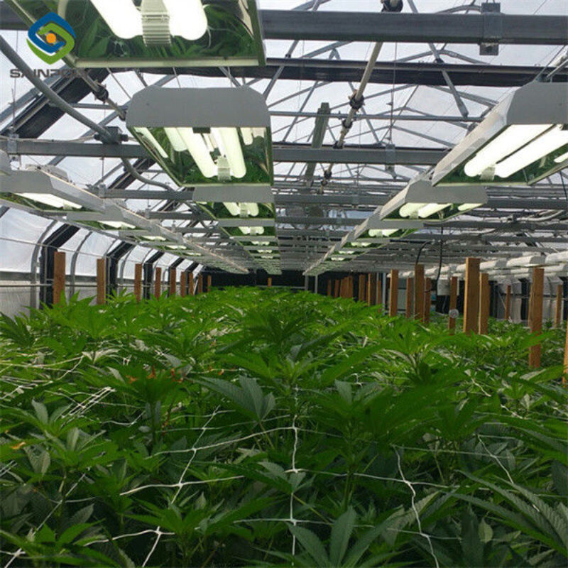 Customized Size Light Deprivation Blackout Greenhouse Include Irrigation System