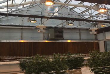 Customized Size Light Deprivation Blackout Greenhouse Include Irrigation System