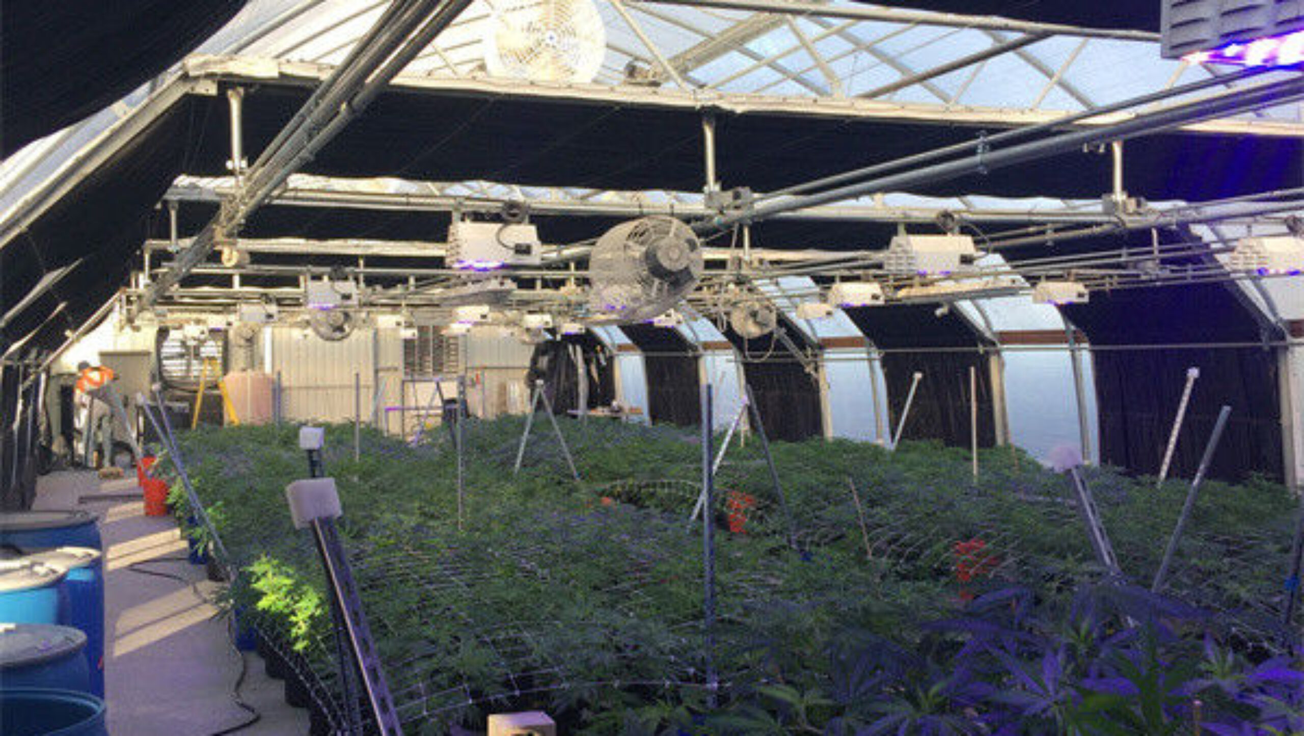 Customized Size Light Deprivation Blackout Greenhouse Include Irrigation System