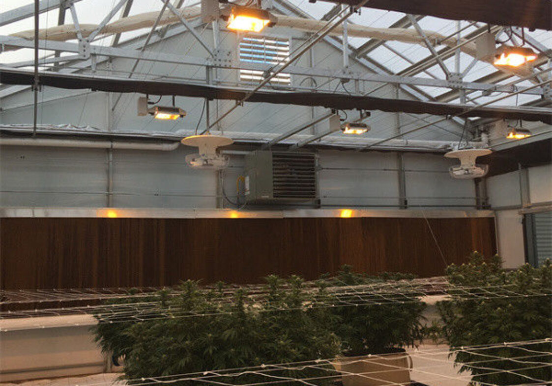 Customized Size Light Deprivation Blackout Greenhouse Include Irrigation System