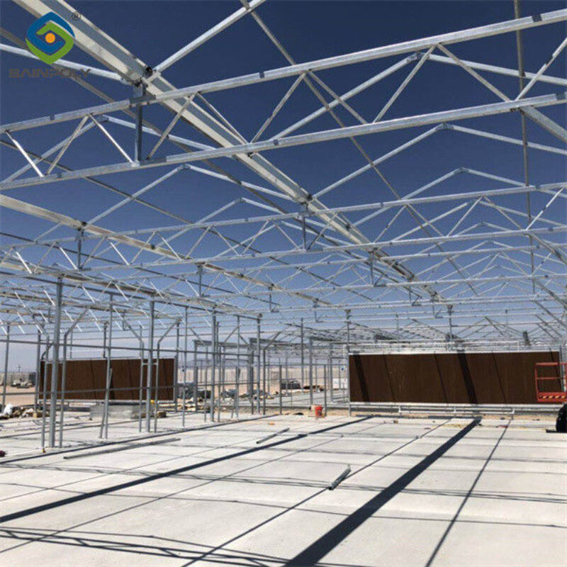 Customized Standard Blackout System Greenhouses 4.5-7.5m Height