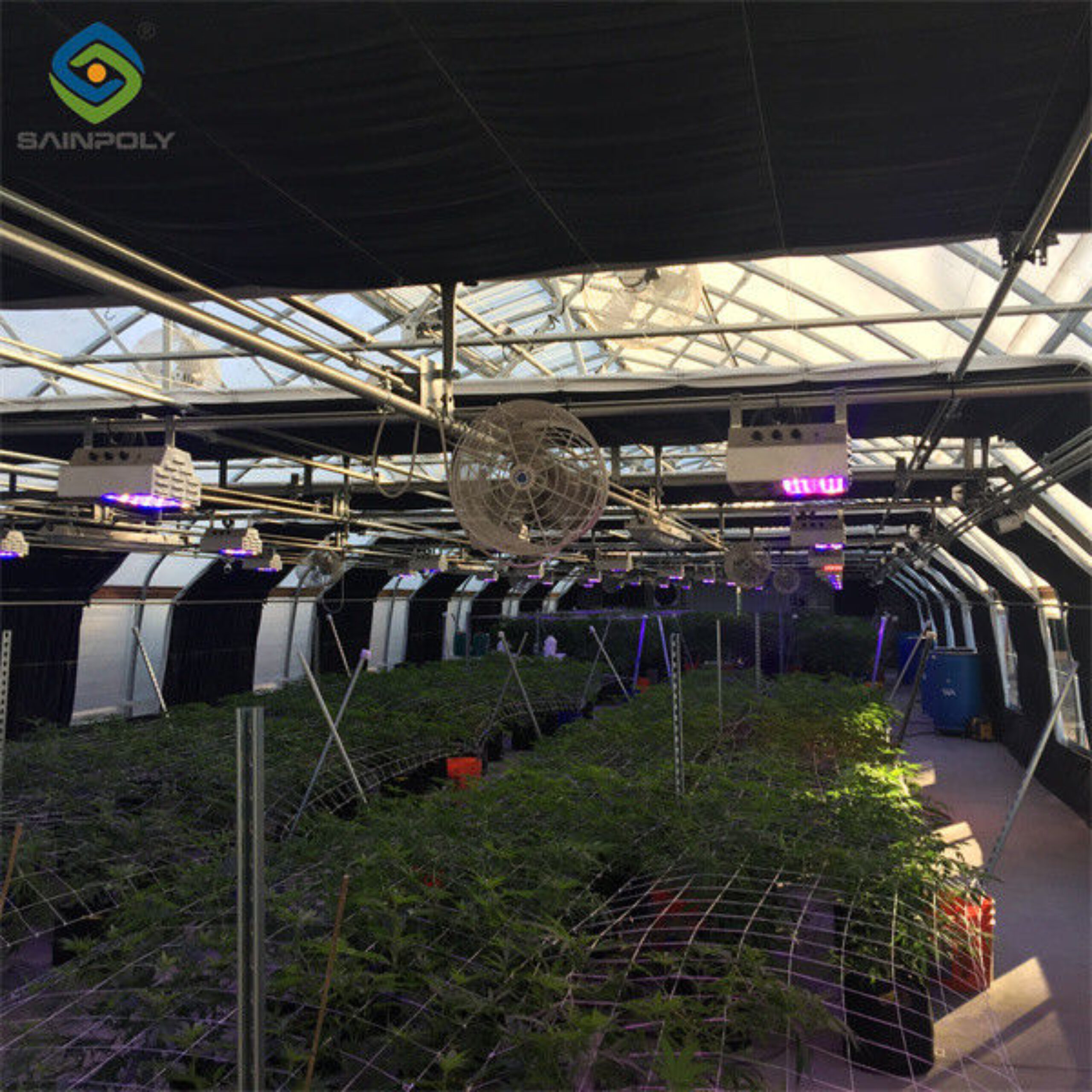 Customized Standard Blackout System Greenhouses 4.5-7.5m Height