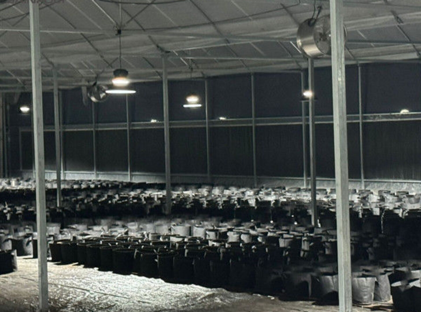 Customized Standard Blackout System Greenhouses 4.5-7.5m Height