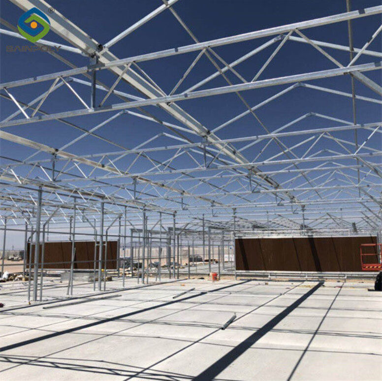Customized Standard Blackout System Greenhouses 4.5-7.5m Height