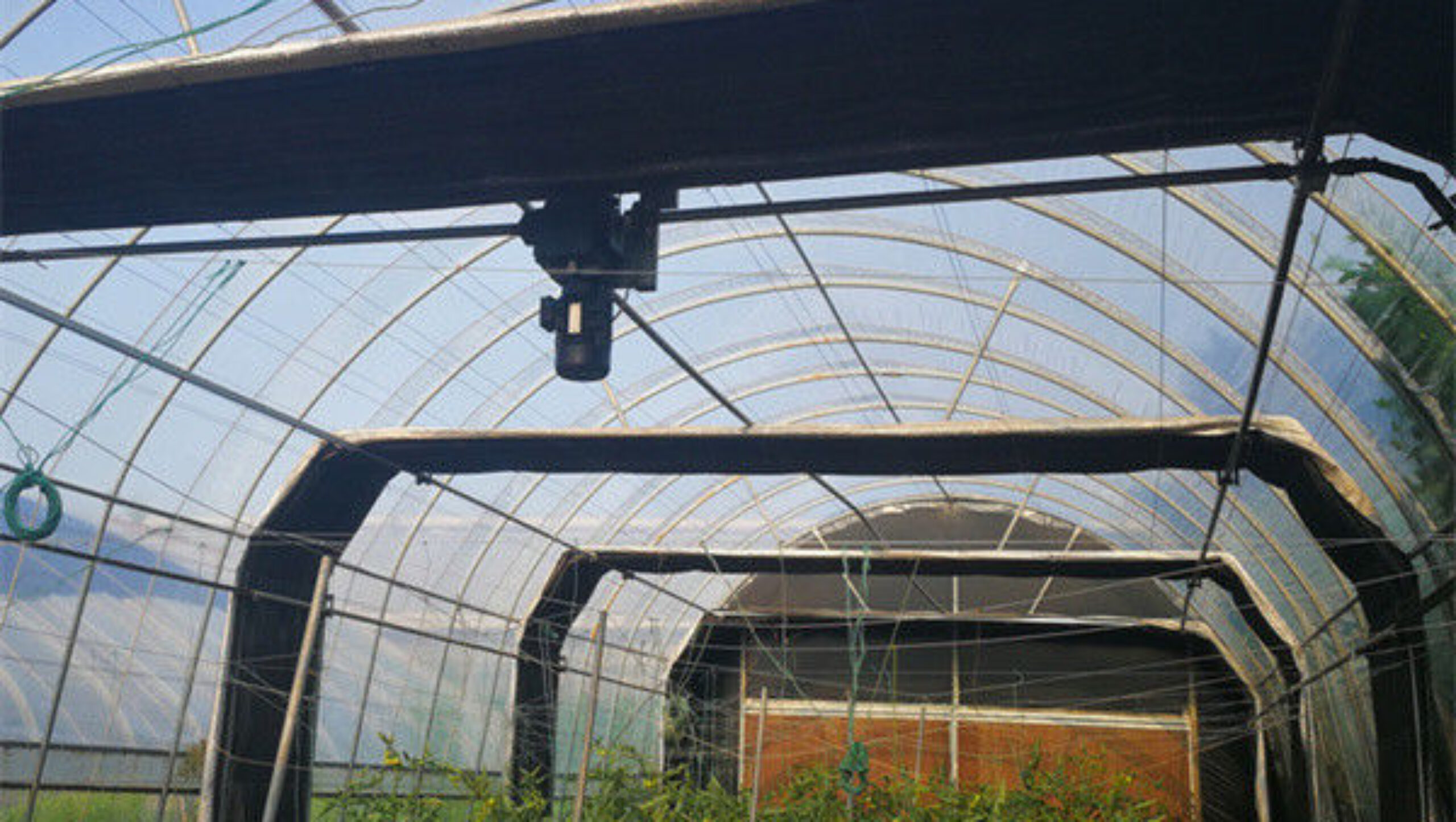Customized Standard Blackout System Greenhouses 4.5-7.5m Height